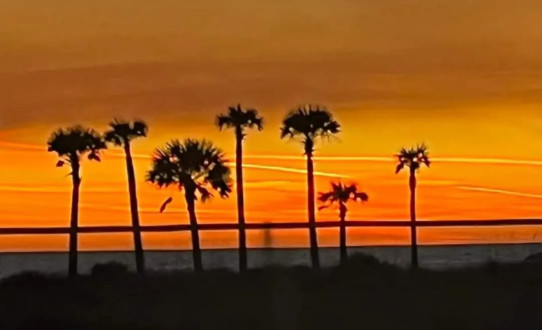Shores Of Panama 316 - 3Rd Floor 1 Bedroom, Sleeps 6, Reserved Parking Space, Free Daily Fun! Condo Panama City Beach United States